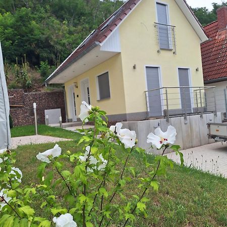 Ferienhaus Saaleblick Wettin Buitenkant foto