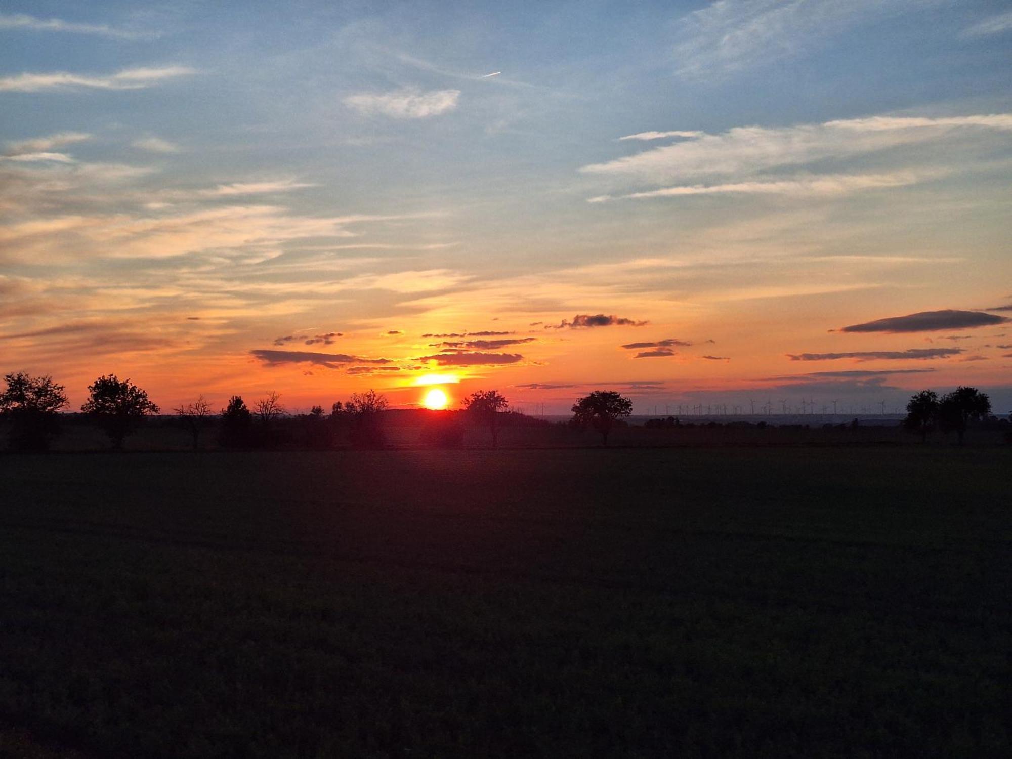 Ferienhaus Saaleblick Wettin Buitenkant foto