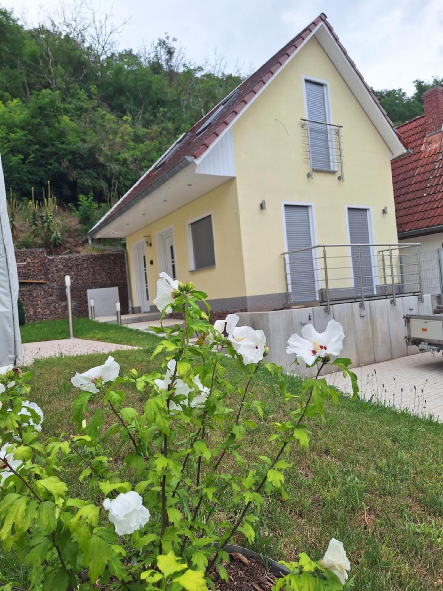Ferienhaus Saaleblick Wettin Buitenkant foto